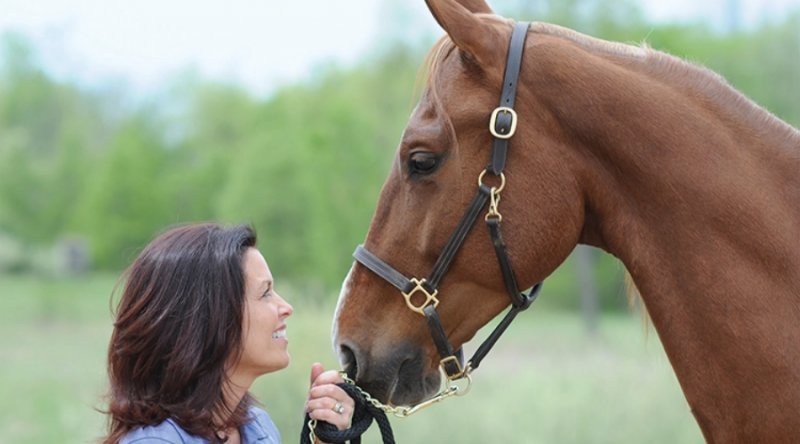 A Horse Can Become Your Partner in Healing
